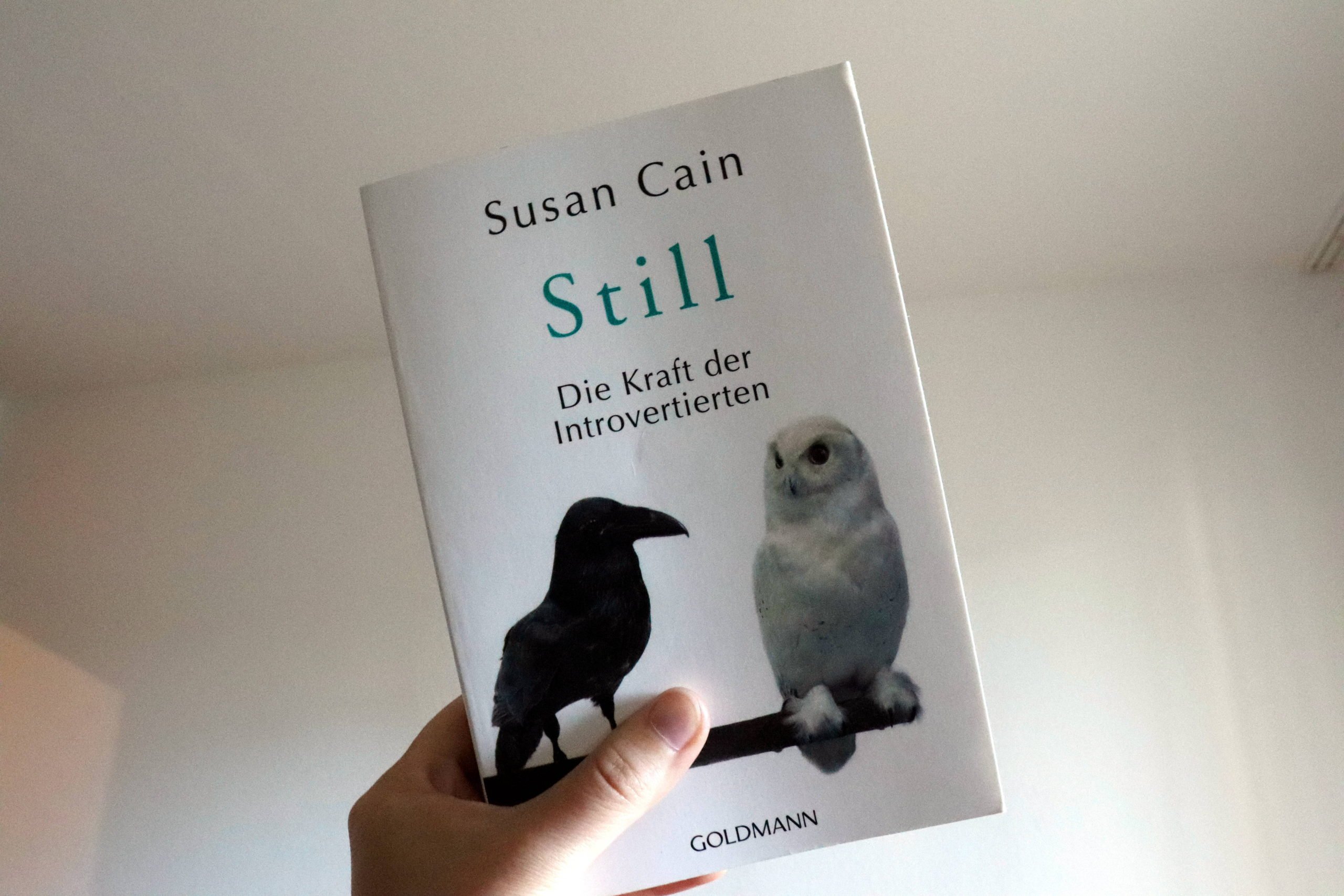 buch über introversion