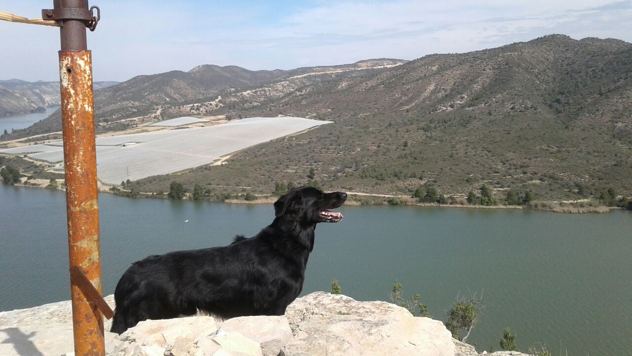 urlaub mit hund in tarragona