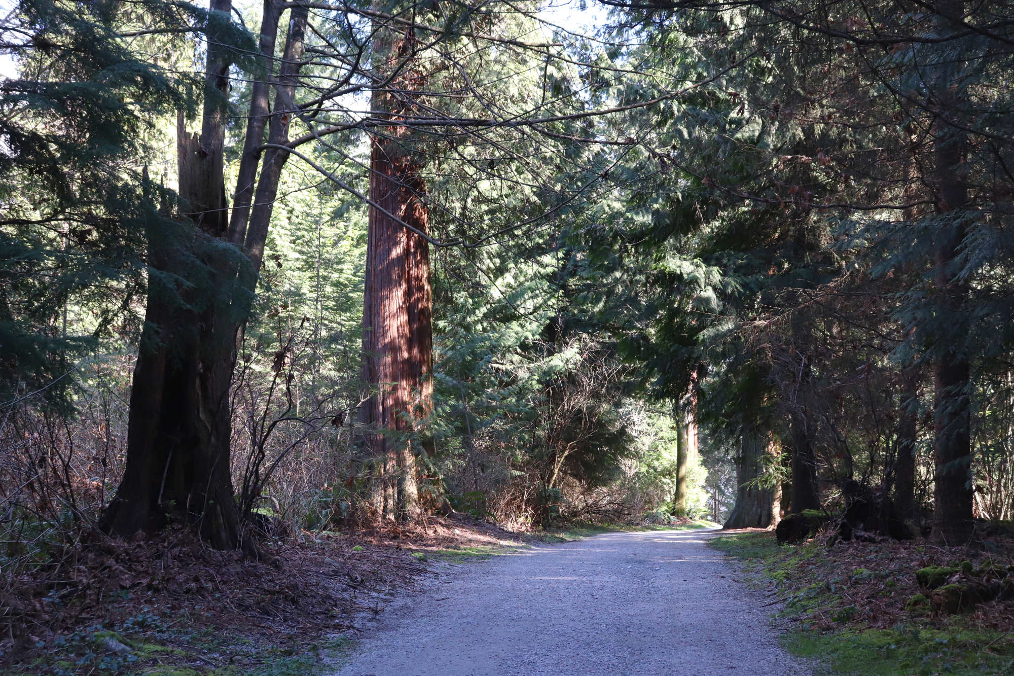 stanley park vancouver 