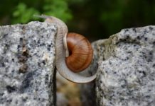 Jammern verboten: So haben Introvertierte eine Chance haben introvertierte überhaupt eine chance