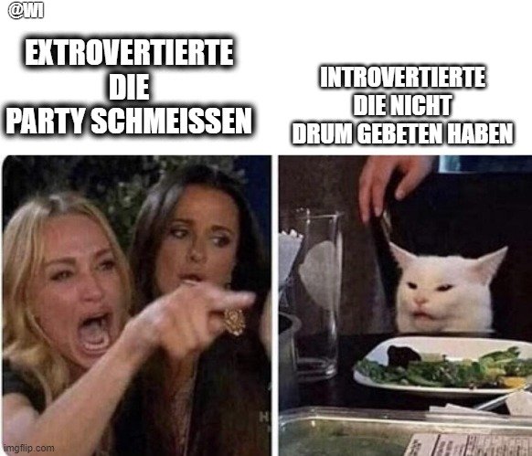 extrovertierte partymenschen