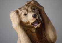 Informationsexplosion im Alltag: Wir sind überfordert informationsexplosion im alltag