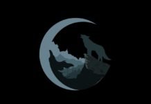 Einsamer Wolf Persönlichkeit: Was macht sie aus? einsamer wolf persönlichkeit