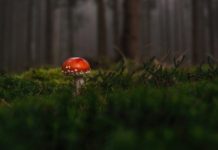 Toxic Negativity: Negativität darf uns nicht lähmen toxic negativity