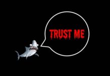 Ratschläge: Warum es Allgemeingültigkeit nicht (wirklich) gibt ratschläge im internet