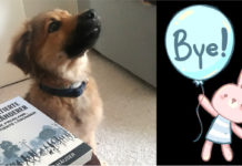 Wanderlust Introvert Zukunft + Introvertierte Weltveränderer Update wanderlust introvert abschied