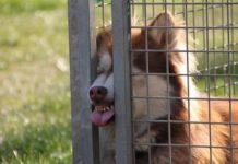 Ich will keinen Kontakt: Nachbarn auf Distanz halten (Tipps) Nachbarn auf Distanz halten