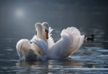 22 Charaktereigenschaften & Merkmale hochsensibler Menschen merkmale hochsensibler menschen