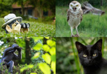 Penetrante Menschen erkennen und loswerden: Tipps penetrante Menschen