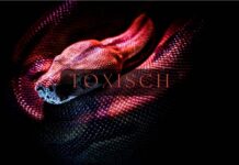 10 Anzeichen: Toxische Menschen & ihr Verhalten erkennen toxische Menschen erkennen