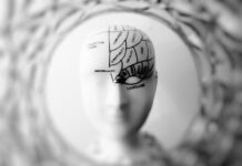 Was ist Brainrot (Hirnfäule)? brainrot deutsch